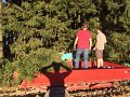 Binden am Donnerstag 003